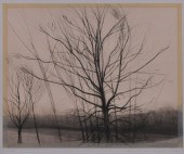 SYLVIA PLIMACK MANGOLD (b. 193