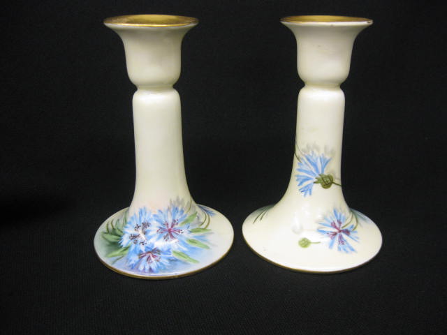 T & V Limoges Handpainted Porcelain