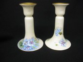 T & V Limoges Handpainted Porc