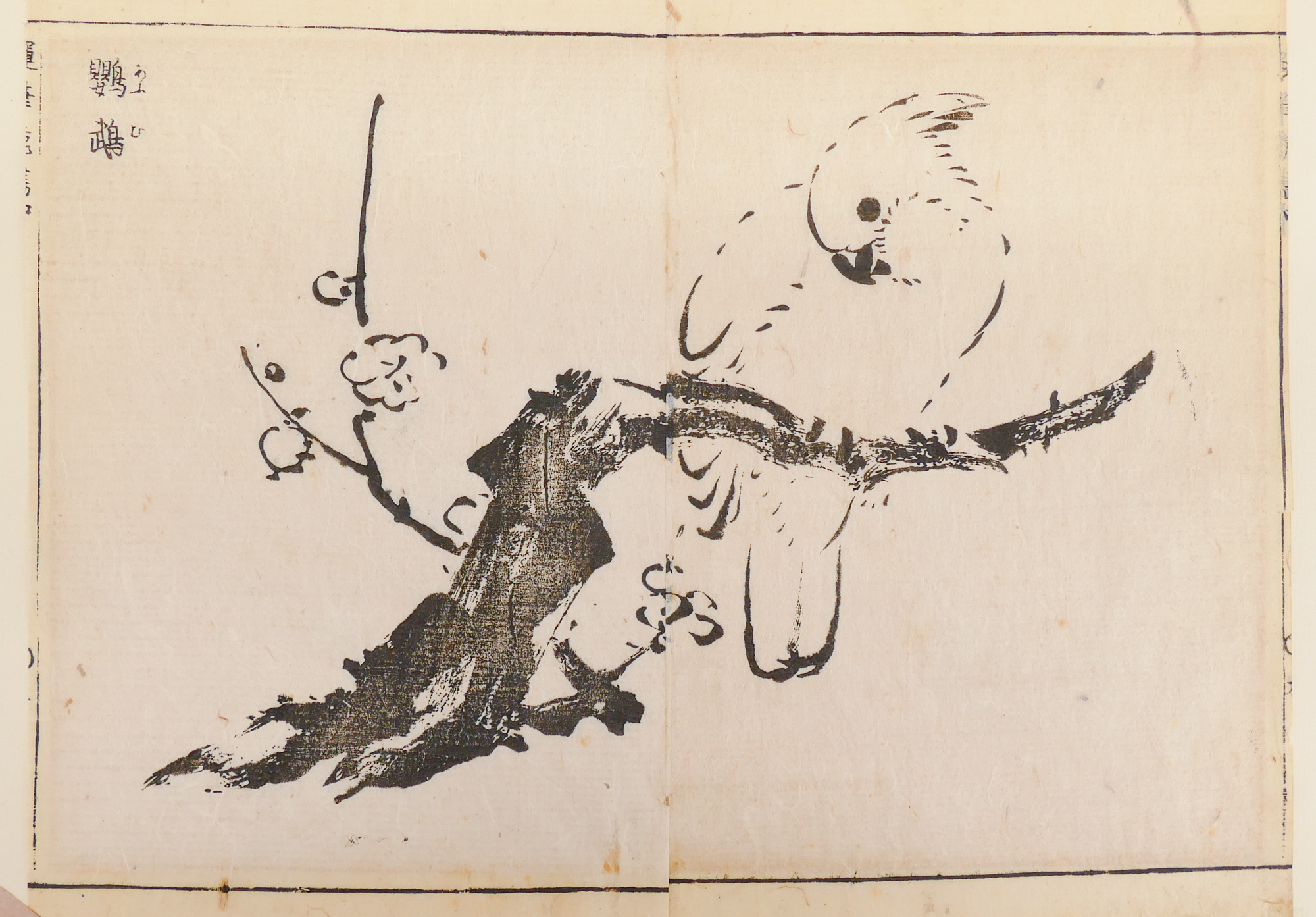 Tachibana Morikuni (1679-1748