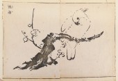 Tachibana Morikuni (1679-1748