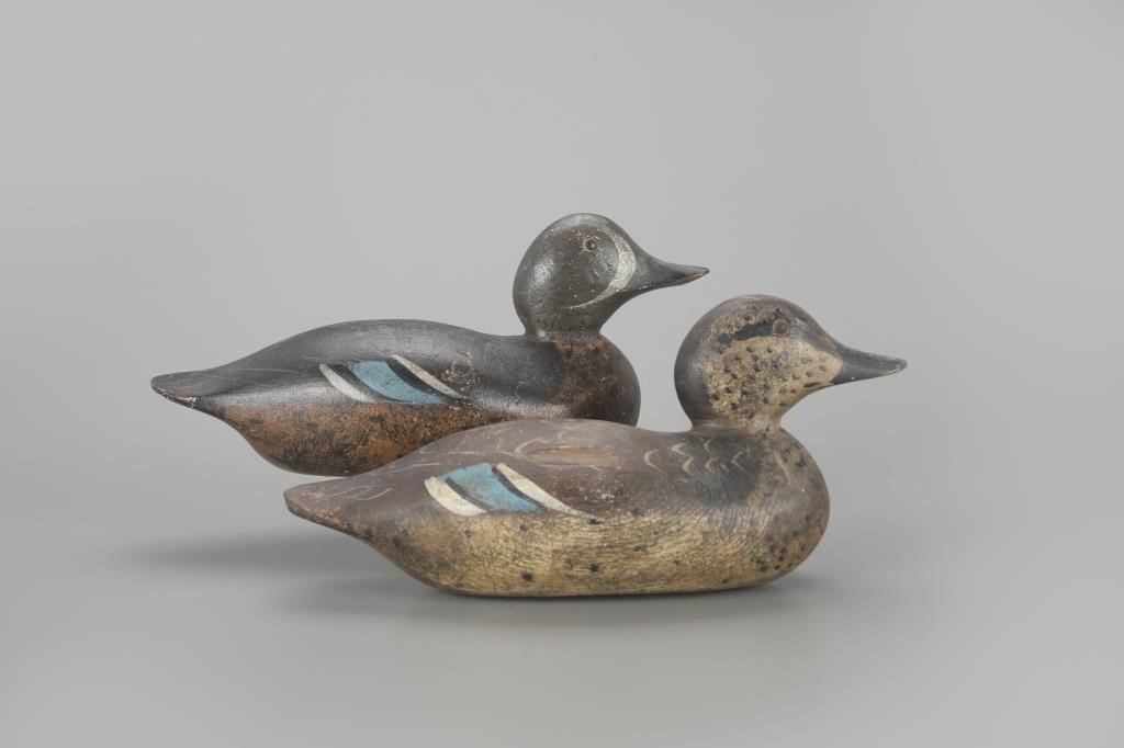 TACK-EYE BLUE-WINGED TEAL PAIRMason