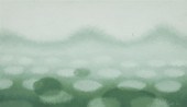 TADASHI SATO (1923-2005), UNTI