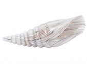 TAGLIAPIETRA ANGELIN MURANO GL