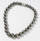 TAHITIAN BLACK PEARL GRADUATIN