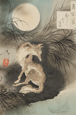 Taiso Yoshitoshi (Japanese