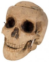 TALKING SKULL.Talking Skull. C