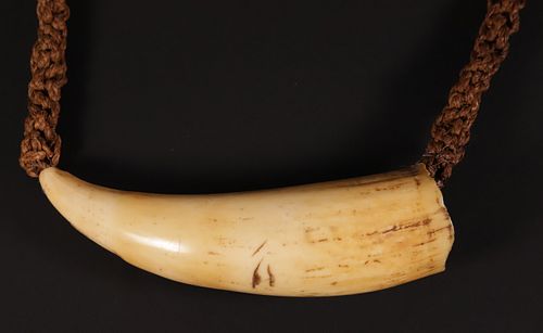 TAMBUA ANTIQUE SPERM WHALE TOOTH,
