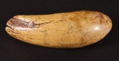 TAMBUA ANTIQUE SPERM WHALE TOO