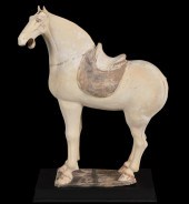 TANG DYNASTY TERRACOTA HORSE W
