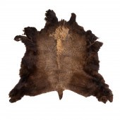 TANNED AMERICAN BUFFALO HIDE R