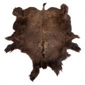 TANNED AMERICAN BUFFALO HIDE R