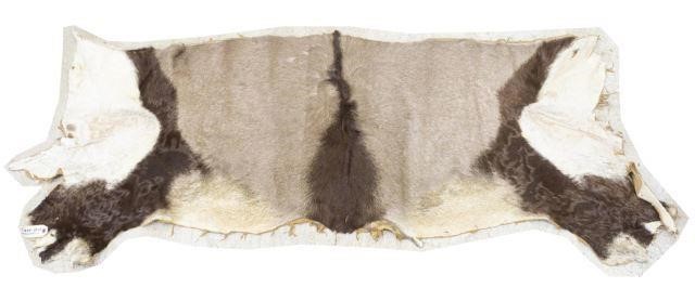 TANNED PARTIAL GEMSBOK HIDE, 29"