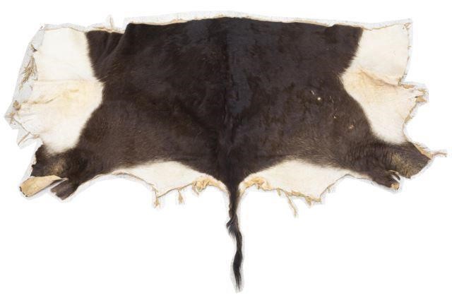 TANNED PARTIAL SABLE ANTELOPE HIDE,