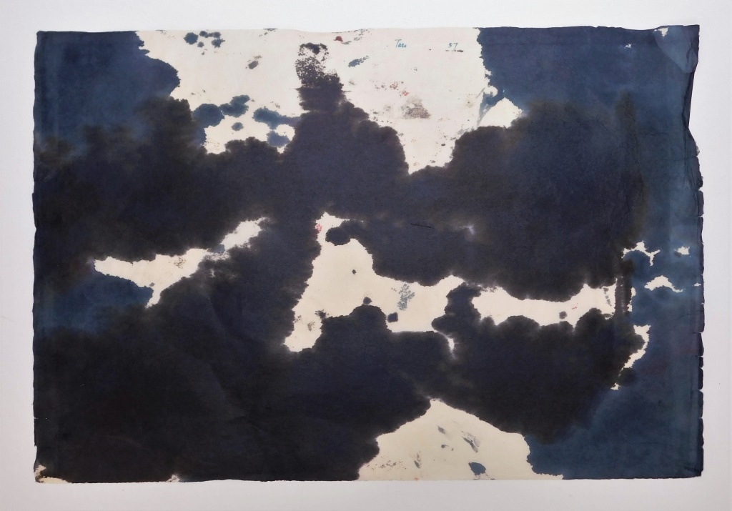 TARO YAMAMOTO ABSTRACT