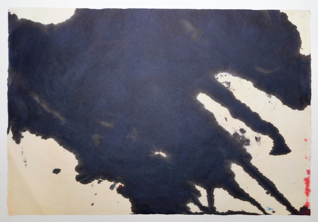 TARO YAMAMOTO ABSTRACT
