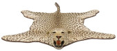 TAXDERMY AFRICAN LEOPARD SKIN