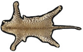TAXDERMY AFRICAN LEOPARD SKIN