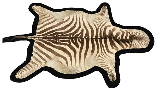 TAXIDERMY ZEBRA HIDE RUG, 118&QUOT;