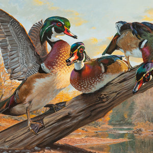 Taylor Oughton (American, b.