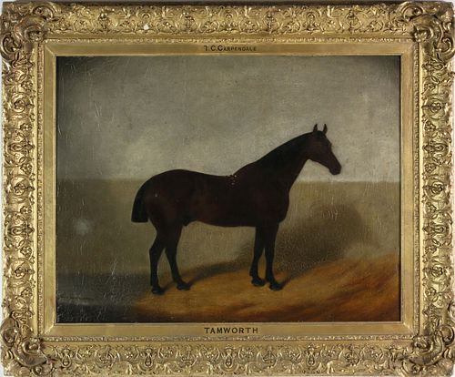 T.C. CARPENDALE OIL ON CANVAS