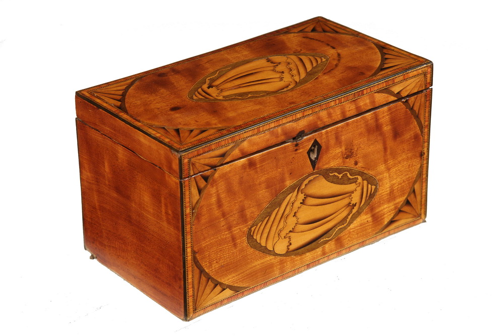 TEA CADDY - 19th c British Inlaid