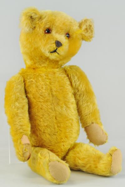 TEDDY BEAR c. 1910-20 possibly