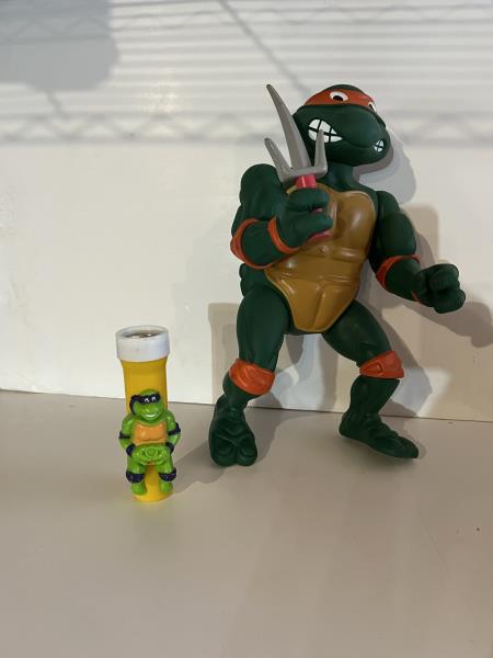 TEENAGE MUTANT NINJA TURTLE AUCTION