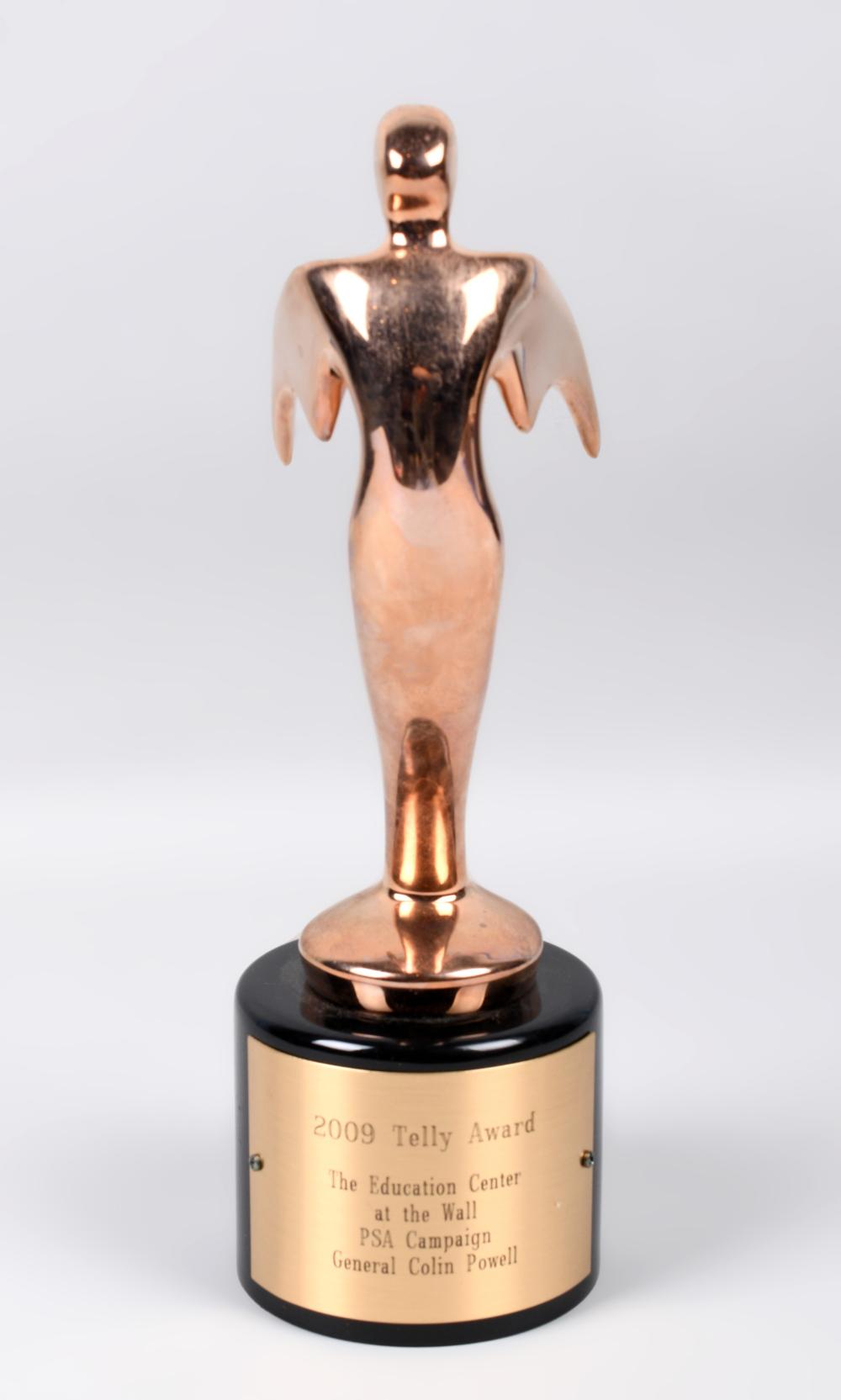 TELLY AWARD, 2009, THE EDUCATION