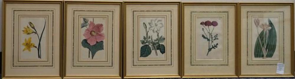 TEN 19TH CENTURY BOTANICAL