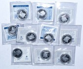 TEN 2011 VIKING NOBLE SILVER 1