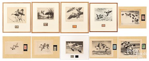 TEN FEDERAL DUCK STAMPS AND