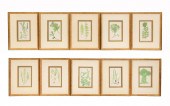 TEN HENRY BRADBURY FERN BOTANI
