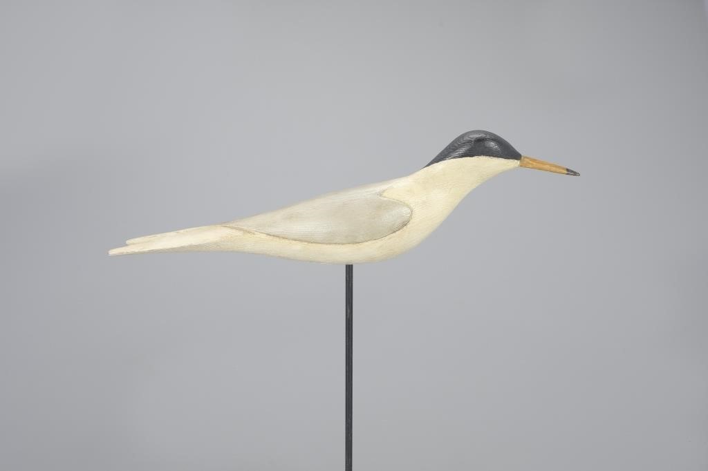 TERNColin S. McNair (b. 1986)