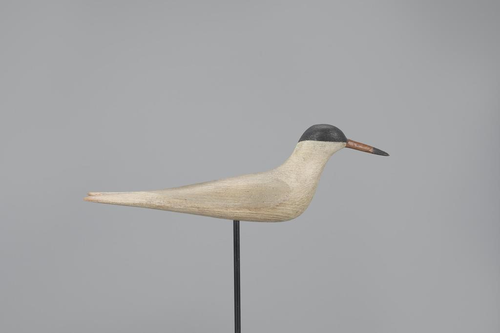 TERNMark S. McNair (b. 1950)