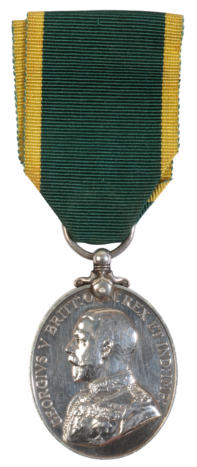 TERRITORIAL EFFICIENCY MEDAL TO SJT