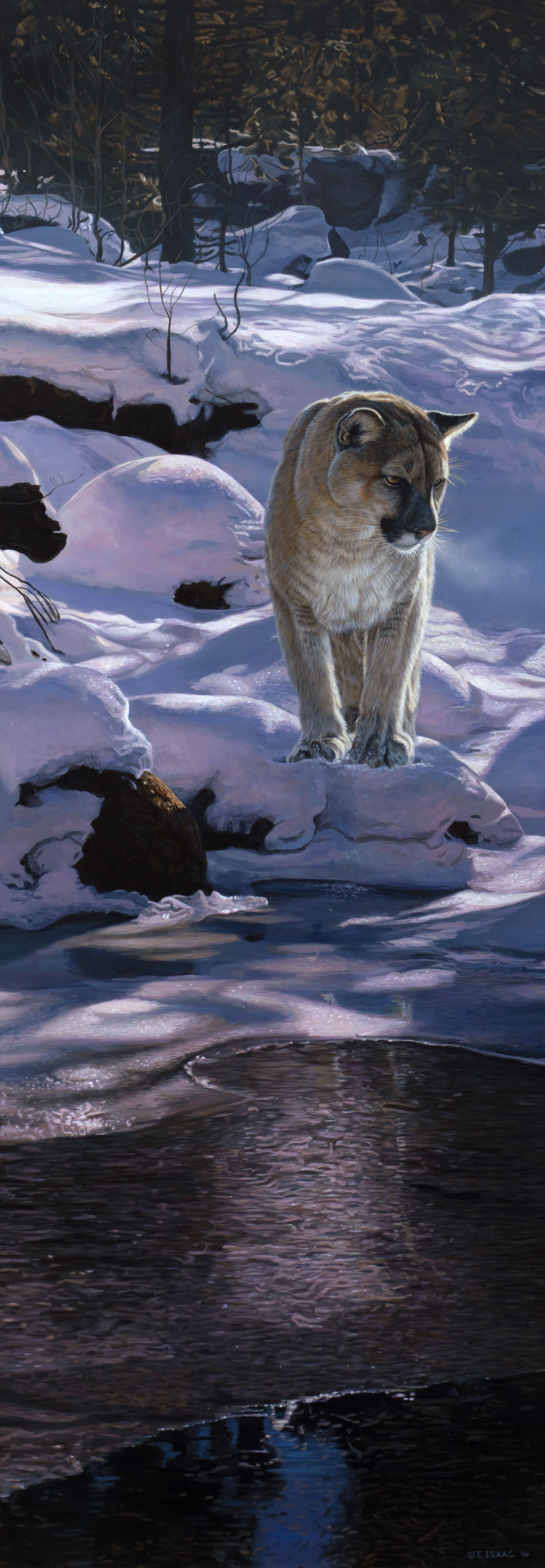 TERRY ISAAC (1958-2019), COUGAR