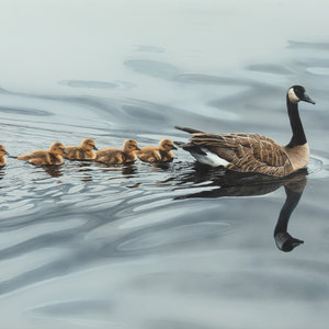 Terry Isaac (American, 1958-2019)