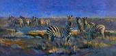 TERRY LEE, BLUE SKY ZEBRA, 200