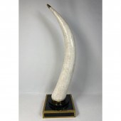 Tessellated stone tusk with br