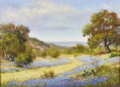 TEXAS BLUEBONNET LANDSCAPE PAI