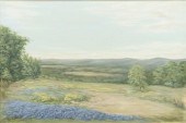 TEXAS BLUEBONNET LANDSCAPE PAI