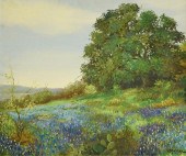 TEXAS BLUEBONNETS O/C, SIGNEDO