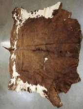 TEXAS LONGHORN STEER HIDE FLOO