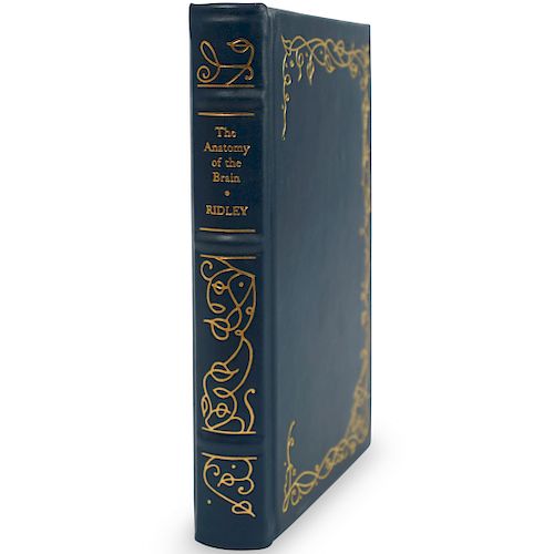 THE ANATOMY OF THE BRAIN LIMITED