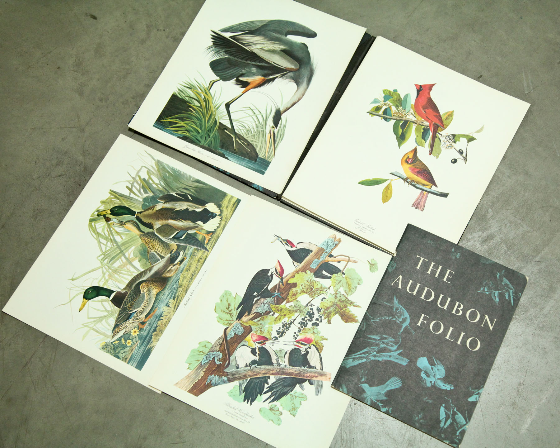 THE AUDUBON FOLIO.  New York  mid