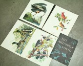 THE AUDUBON FOLIO.  New York
