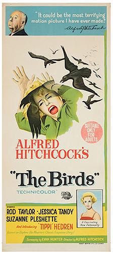 THE BIRDS.The Birds. Universal