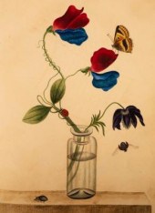 The Commonplace book of Doroth