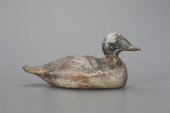 THE EVANS BUFFLEHEAD DRAKEEvan